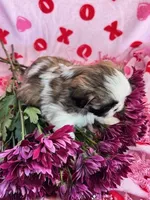 processed/986f044f-aa4f-40b4-8012-c13bd3b1a8c8/listing/f7af7203-79bc-490b-ad19-3a1c94d71f20/06828520-e44c-4a91-bf57-b28c9727cedc