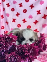 processed/986f044f-aa4f-40b4-8012-c13bd3b1a8c8/listing/f7af7203-79bc-490b-ad19-3a1c94d71f20/27b071f9-59a7-4bca-9494-f7a5908b578a