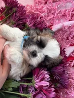 processed/986f044f-aa4f-40b4-8012-c13bd3b1a8c8/listing/f7af7203-79bc-490b-ad19-3a1c94d71f20/4ad99934-a480-437a-ab0b-9f6d3214a845