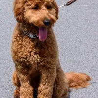 processed/98741ef9-debb-40b8-b81b-b2fe5b90942e/facility/31adc14d-1fee-4f40-8136-b94d18bdc63c