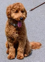 processed/98741ef9-debb-40b8-b81b-b2fe5b90942e/facility/31adc14d-1fee-4f40-8136-b94d18bdc63c