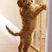 processed/98741ef9-debb-40b8-b81b-b2fe5b90942e/facility/97f56024-8ba6-438f-8717-a11005fc56e5