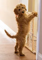 processed/98741ef9-debb-40b8-b81b-b2fe5b90942e/facility/97f56024-8ba6-438f-8717-a11005fc56e5