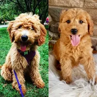 processed/98741ef9-debb-40b8-b81b-b2fe5b90942e/facility/a6f2d89a-e39e-4956-8fa9-70921537cc75