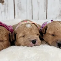 processed/98741ef9-debb-40b8-b81b-b2fe5b90942e/facility/e8b080c3-0e62-4630-ba20-3cbd28ef9100