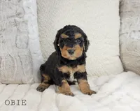 processed/98741ef9-debb-40b8-b81b-b2fe5b90942e/listing/2538571b-f60a-4f70-96b7-6eefeb76c155/000b441f-62c0-4af6-b552-985a750b7f41