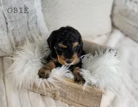 processed/98741ef9-debb-40b8-b81b-b2fe5b90942e/listing/2538571b-f60a-4f70-96b7-6eefeb76c155/5904170e-e9d2-4ff4-a597-1200d57dbd71