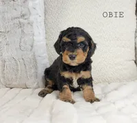 processed/98741ef9-debb-40b8-b81b-b2fe5b90942e/listing/2538571b-f60a-4f70-96b7-6eefeb76c155/939f4868-011f-4904-8b78-d8d1aab875c2