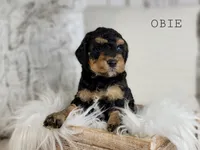 processed/98741ef9-debb-40b8-b81b-b2fe5b90942e/listing/2538571b-f60a-4f70-96b7-6eefeb76c155/a98ca7d7-1f85-4553-a2c2-89cb7efa1266