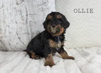 processed/98741ef9-debb-40b8-b81b-b2fe5b90942e/listing/a4987be3-7567-48d0-89e0-5e4aa0454fa1/132d5a62-7b3f-4b0b-9f1a-d581a340da7d