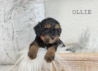 processed/98741ef9-debb-40b8-b81b-b2fe5b90942e/listing/a4987be3-7567-48d0-89e0-5e4aa0454fa1/27aea41a-187b-4100-9d1d-8f3a6bd85a55