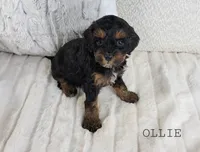 processed/98741ef9-debb-40b8-b81b-b2fe5b90942e/listing/a4987be3-7567-48d0-89e0-5e4aa0454fa1/3f72e7aa-b626-4d9f-93cc-9f5976ced1f8