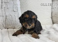 processed/98741ef9-debb-40b8-b81b-b2fe5b90942e/listing/a4987be3-7567-48d0-89e0-5e4aa0454fa1/525b1375-a951-473c-9c30-e6a0ab71eebd