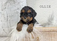 processed/98741ef9-debb-40b8-b81b-b2fe5b90942e/listing/a4987be3-7567-48d0-89e0-5e4aa0454fa1/5eb6bf13-8dbd-4e48-9ff3-c3c5e7b63ffd