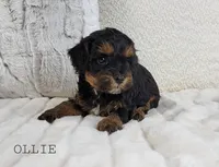 processed/98741ef9-debb-40b8-b81b-b2fe5b90942e/listing/a4987be3-7567-48d0-89e0-5e4aa0454fa1/9fd1b3dd-027d-4f1e-afc3-04269a34015d