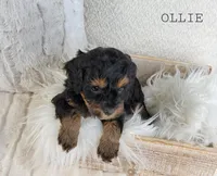 processed/98741ef9-debb-40b8-b81b-b2fe5b90942e/listing/a4987be3-7567-48d0-89e0-5e4aa0454fa1/b2955630-637e-4bf6-8ba1-1695e6544267