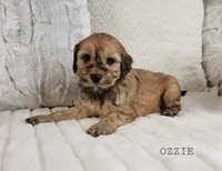 processed/98741ef9-debb-40b8-b81b-b2fe5b90942e/listing/d67cddcc-134c-4330-ab65-9438d1d1fc8c/109f62bb-bab2-4dca-85bc-9c6f6ff393dd