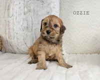 processed/98741ef9-debb-40b8-b81b-b2fe5b90942e/listing/d67cddcc-134c-4330-ab65-9438d1d1fc8c/28877aea-2fac-4692-9ce2-0ad3bac95e9c