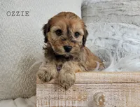 processed/98741ef9-debb-40b8-b81b-b2fe5b90942e/listing/d67cddcc-134c-4330-ab65-9438d1d1fc8c/83b17c1d-ca93-4229-91e6-fabea3d2bf8c