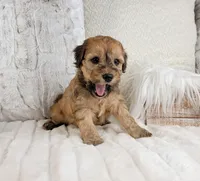 processed/98741ef9-debb-40b8-b81b-b2fe5b90942e/listing/d67cddcc-134c-4330-ab65-9438d1d1fc8c/9d96aa5c-6271-402a-afc9-42130803a9f1