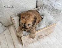 processed/98741ef9-debb-40b8-b81b-b2fe5b90942e/listing/d67cddcc-134c-4330-ab65-9438d1d1fc8c/d1cab684-6daf-4a57-aa60-e063ce27e882