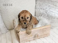 processed/98741ef9-debb-40b8-b81b-b2fe5b90942e/listing/d67cddcc-134c-4330-ab65-9438d1d1fc8c/f66108af-48cf-4bf9-8f7e-434fccb586b2