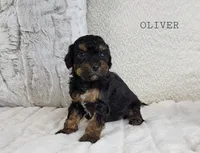 processed/98741ef9-debb-40b8-b81b-b2fe5b90942e/listing/f9f4c916-1def-417e-a329-c4dba8423259/3c6aec28-d9d1-4c18-b565-374b486d036d