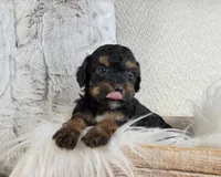 processed/98741ef9-debb-40b8-b81b-b2fe5b90942e/listing/f9f4c916-1def-417e-a329-c4dba8423259/59b66f76-8eac-4c41-a304-510a00ae3381