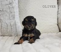 processed/98741ef9-debb-40b8-b81b-b2fe5b90942e/listing/f9f4c916-1def-417e-a329-c4dba8423259/5c4c4f2a-f66f-4b7a-bccb-b2d6452bca18