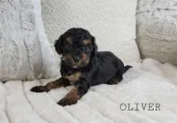 processed/98741ef9-debb-40b8-b81b-b2fe5b90942e/listing/f9f4c916-1def-417e-a329-c4dba8423259/7cfceaec-2519-44bd-b3d8-332de0ca22c5