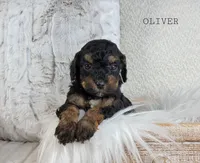 processed/98741ef9-debb-40b8-b81b-b2fe5b90942e/listing/f9f4c916-1def-417e-a329-c4dba8423259/dd6815a3-c990-4578-9bea-2e6a8f1951ce