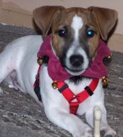 processed/987cfdbe-0a3d-4818-b2cc-eb05d3a40bd3/facility/f7c32367-d80d-4f8c-aa76-fe7dcbe9e902