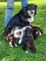 processed/98868332-6c35-4347-af6f-7caeb9c0d67a/facility/42fc631e-8df3-4307-918d-876061aa8669