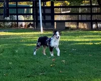 processed/98868332-6c35-4347-af6f-7caeb9c0d67a/facility/6193ca8e-555a-4df3-8ad9-5e57fa2747d1