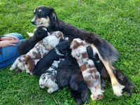 processed/98868332-6c35-4347-af6f-7caeb9c0d67a/facility/8adccebd-b25a-44b3-85ad-a8b0772e2a70