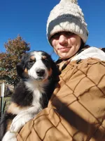 Female #5, a female Australian Shepherd for sale in Hidalgo, IL – Photo 9 of 9