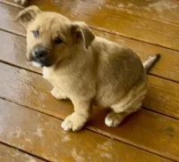 processed/988bee3a-9bd6-419e-9830-31d6343d404f/listing/06150a00-2f31-46c7-a871-d960f35ec520/39e89dff-4e8c-4644-ae11-cd03f75b6587