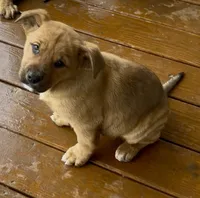 processed/988bee3a-9bd6-419e-9830-31d6343d404f/listing/06150a00-2f31-46c7-a871-d960f35ec520/c14ba50c-14e2-4593-85ba-f7d4cae50162