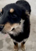 processed/988bee3a-9bd6-419e-9830-31d6343d404f/listing/181cbf0d-e093-41cc-b93f-b798f8971af2/5e96d5c0-34d9-44d5-97b0-866027db6510