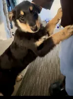 processed/988bee3a-9bd6-419e-9830-31d6343d404f/listing/181cbf0d-e093-41cc-b93f-b798f8971af2/e90d8a56-6e80-4d8a-9317-74e765ac3bc9