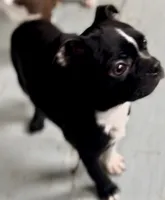 processed/988bee3a-9bd6-419e-9830-31d6343d404f/listing/bf861a34-f934-4b31-a50a-ce91d75e15be/b33bf74d-8625-428c-bf63-7a9fa5892f10