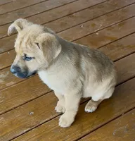 processed/988bee3a-9bd6-419e-9830-31d6343d404f/listing/dfe87822-6dd5-404a-980e-72490004b140/252403d3-622d-474e-a8b1-b69e5c75b0fc