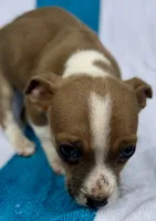 processed/988bee3a-9bd6-419e-9830-31d6343d404f/listing/e7e58056-f7d8-4971-ad8d-659961fb68ea/7d742b9e-488c-4eac-9397-cad2686017db