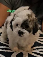 processed/988c993d-a5b5-4deb-9966-d1773a800265/listing/c368bd4b-3923-445d-b2d5-8ea2224b69dc/8fbe7dc0-7cb7-42a4-a0cd-258b3712b433