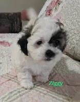 processed/988c993d-a5b5-4deb-9966-d1773a800265/listing/c368bd4b-3923-445d-b2d5-8ea2224b69dc/f3c31c3d-91c6-400e-976f-90b5cf0a3fc3