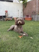 processed/98a61519-5e5a-49e4-bca6-1282510d41ee/listing/a966a06c-ae02-4c5d-8f18-63219dc67e35/3170db4d-d647-4a39-ba7c-d7e78109704b