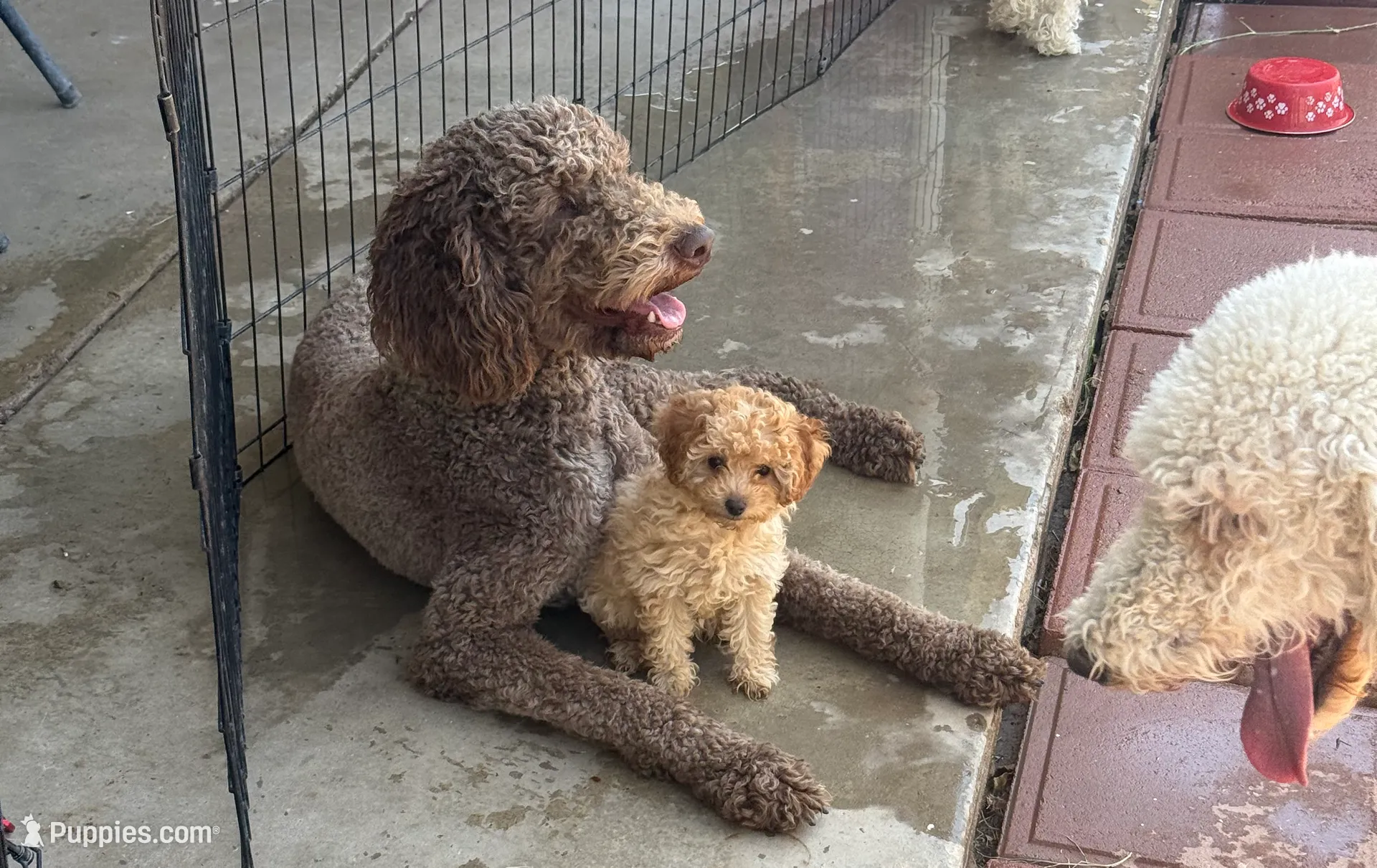 processed/98a61519-5e5a-49e4-bca6-1282510d41ee/listing/a966a06c-ae02-4c5d-8f18-63219dc67e35/3b6e14c5-020b-4ce6-92ae-57d13b4c3805