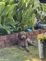 processed/98a61519-5e5a-49e4-bca6-1282510d41ee/listing/a966a06c-ae02-4c5d-8f18-63219dc67e35/4dd54735-b85c-417b-bd94-25614469a73c