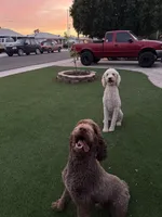 processed/98a61519-5e5a-49e4-bca6-1282510d41ee/listing/a966a06c-ae02-4c5d-8f18-63219dc67e35/f86925c0-f696-4a7a-98b7-60ed5f70faeb