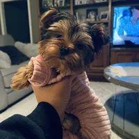 processed/98cb5b17-2506-41f3-b879-3e4ad72241b2/facility/3e54c8f4-ed60-4273-8608-b3f2ba005c44